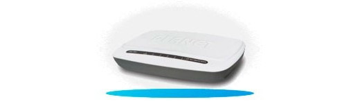 Fast Ethernet Switch